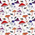 Seamless watercolor pattern of mushrooms on white background Royalty Free Stock Photo