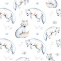 Seamless watercolor pattern nursery polar arctic animals watercolor collection set. snowy owl. reindeer. polar bear. fox. penguin Royalty Free Stock Photo