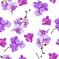 Seamless watercolor pattern `Orchid`