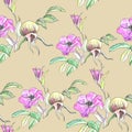 Watercolor pattern with painted flowers and rosehips and leaves on a beige background