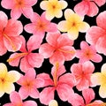 Seamless watercolor pattern with plumeria and hibiscus flowers