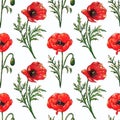 Seamless watercolor pattern with red poppy flowers and green leaves. Hand drawn botanical flowers. Floral elements Royalty Free Stock Photo