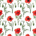 Seamless watercolor pattern with red poppy flowers and green leaves. Hand drawn botanical flowers. Floral elements isolated on Royalty Free Stock Photo
