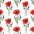 Seamless watercolor pattern with red poppy flowers and green leaves. Hand drawn botanical flowers. Floral elements isolated on Royalty Free Stock Photo