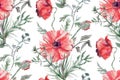 Seamless watercolor pattern with red poppy flowers on white background Royalty Free Stock Photo