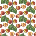 Seamless watercolor pattern with ripe peaches.