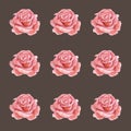 Seamless watercolor pattern of roses Amazing design elements.