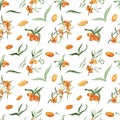 Seamless watercolor simple pattern with orange sea buckthorn illustrations.