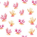 Watercolor pattern pink sea corals