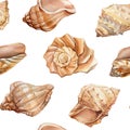 Seamless Watercolor Pattern With Sea Shells. Hand Drawn Vintage Sketch Elements. Nautical Background For Wallpaper