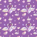 Seamless watercolor pattern with swans and colorful hearts on purple background. Watercolor hand draw illustration. Royalty Free Stock Photo