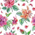 Seamless watercolor pattern of terry hibiscus petals on a wnite background.