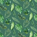 Seamless watercolor pattern of tropical leaves, aloha jungle decoration. Hand painted palm leaf. Texture with tropic Royalty Free Stock Photo