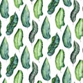 Seamless watercolor pattern of tropical leaves, aloha jungle decoration. Hand painted palm leaf. Texture with tropic Royalty Free Stock Photo