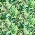 Seamless watercolor pattern of tropical leaves, aloha jungle decoration. Hand painted palm leaf. Texture with tropic Royalty Free Stock Photo