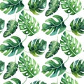 Seamless watercolor pattern of tropical leaves, aloha jungle decoration. Hand painted palm leaf. Texture with tropic Royalty Free Stock Photo