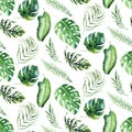 Seamless watercolor pattern of tropical leaves, aloha jungle decoration. Hand painted palm leaf. Texture with tropic Royalty Free Stock Photo