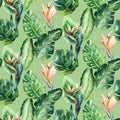 Seamless watercolor pattern of tropical leaves, aloha jungle decoration. Hand painted palm leaf. Texture with tropic Royalty Free Stock Photo