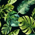 Seamless watercolor pattern of tropical leaves, dense jungle. Ha Royalty Free Stock Photo