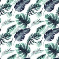 Seamless watercolor pattern of tropical leaves, dense jungle. Ha Royalty Free Stock Photo