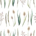 Seamless watercolor pattern with wild herbs drawing by hand