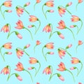 Seamless watercolor pattern with yellow and pink crocuses flowers on light blue background. Vintage style. Great floral