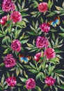 Seamless watercolor peony pattern on dark grey background with leaves, flowers and blue butterfly Royalty Free Stock Photo