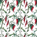 Seamless watercolor realistic botanical pattern of hot red pepper blooming Royalty Free Stock Photo