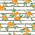 Seamless watercolor sea buckthorn pattern. Vector stripe background with orange berries