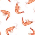 Seamless watercolor shrimp pattern on white background. Clean repeating layout Royalty Free Stock Photo