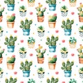 Seamless watercolor texture with cactus plant and succulent plant in pot