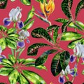 Seamless watercolor tropical pattern with schefflera plant and iris flowers, croton leaves and strelitzia