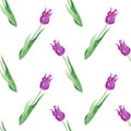 Seamless watercolor tulips pattern.Botanical illustration with violet flowers with leaves Royalty Free Stock Photo