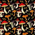 Seamless watercolor vintage pattern of mushrooms on black field. Royalty Free Stock Photo