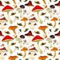 Seamless watercolor vintage pattern of mushrooms on white field. Royalty Free Stock Photo