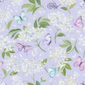 Seamless watercolor white elderberry floral background. Spring elderflower and butterflies pattern template