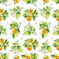 Seamless watercolour citrus fruits and leaves pattern. Green leaves and orange fruits on white background. Seamless