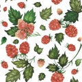 Seamless watercolour raspberry pattern with berries and leaves hand drawn isolated on white