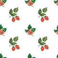 Seamless watercolour raspberry pattern with berries, leaves hand drawn isolated on white. For textile, wrapping paper