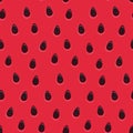 Seamless watermelon surface texture