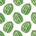 Seamless watermelons pattern. Watercolor background with full watermelone berries for textile and decor Royalty Free Stock Photo