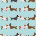 Seamless wedding pattern with dachshunds on blue background