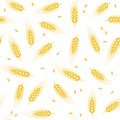 Seamless wheat, barley or rye background pattern. vector