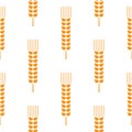 Seamless wheat ear pattern. Golden ears on white background