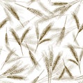 Seamless wheat ear pattern. Sketch breads grains, hand drawn bakery ears and bread grain vector illustration set