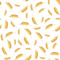 Seamless Wheat Pattern. Set of Ears Isolated Royalty Free Stock Photo