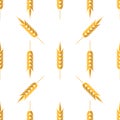 Seamless Wheat Pattern Royalty Free Stock Photo