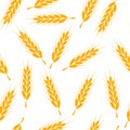 Seamless wheat pattern vector background. Wheat bread harvest cereal illustration Royalty Free Stock Photo