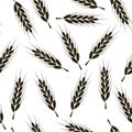 Seamless wheat pattern vector background. Wheat bread harvest cereal illustration