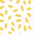 Seamless wheat or rye pattern, vector